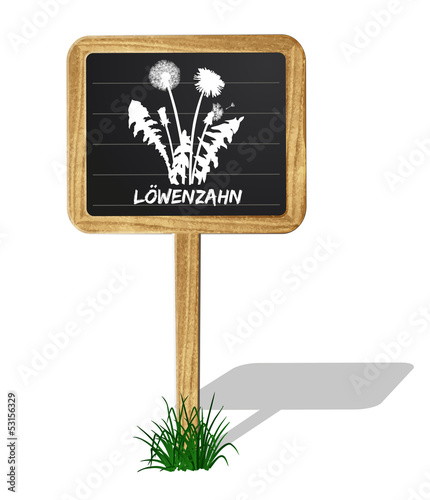 Löwenzahn Vektor