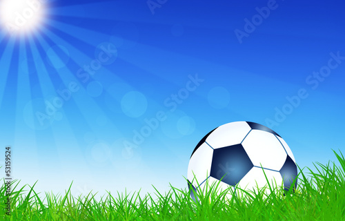 Football Ball on the Grass