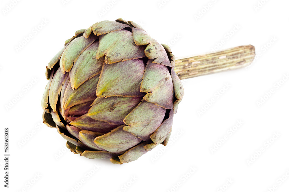 Fototapeta premium Artischocke liegend - Artichoke lying
