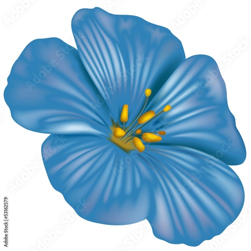 Blue Flower