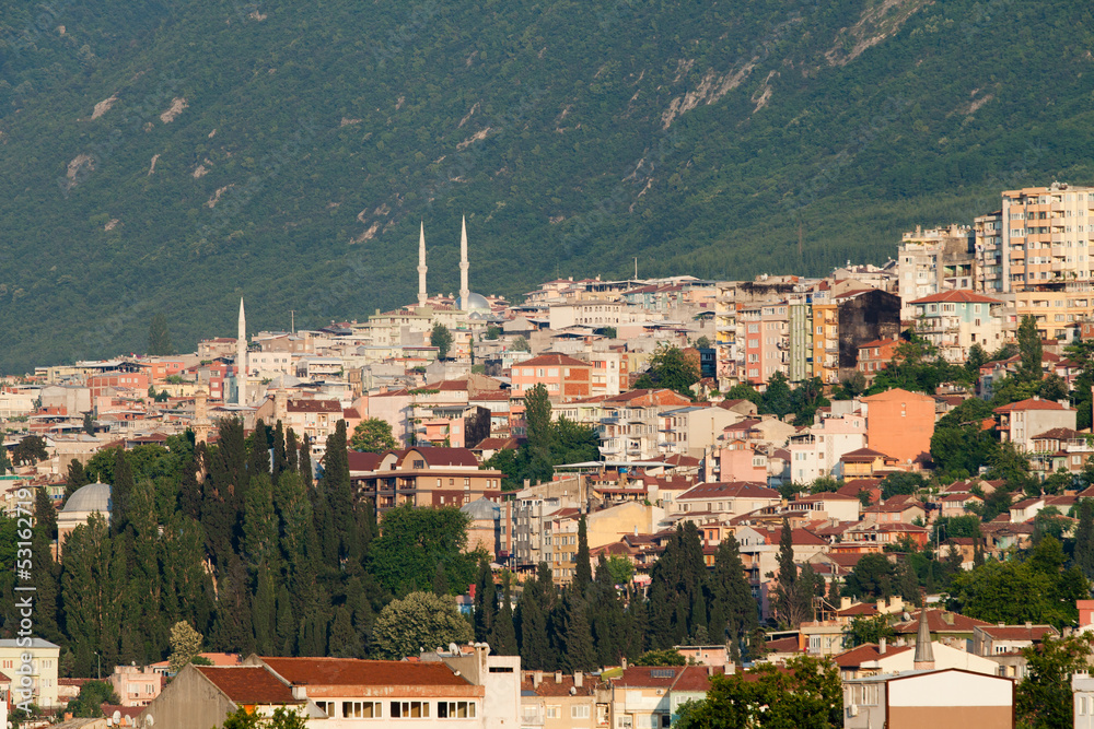 Mosque and many houses in Bursa, Turkey