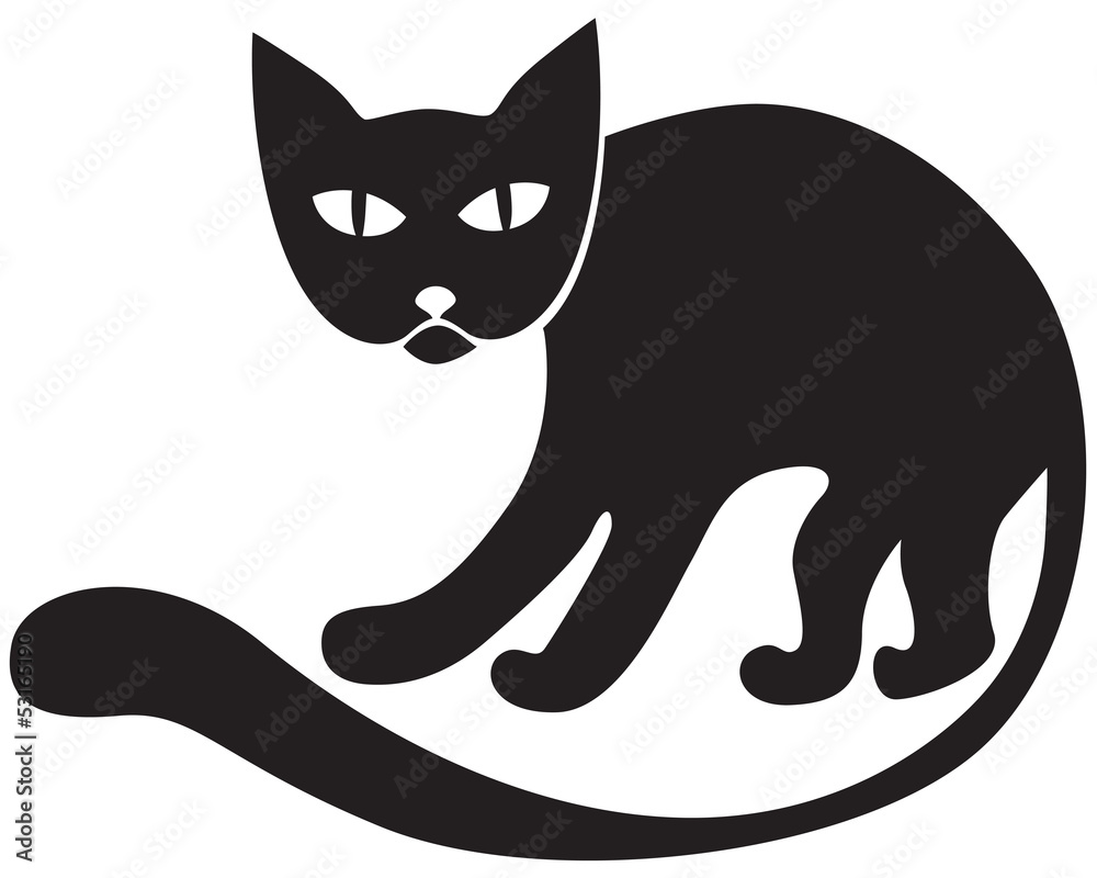 Black cat Black cat