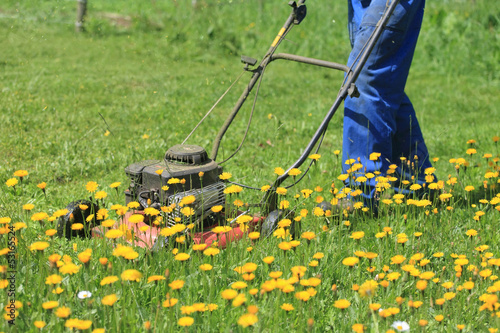 Mowing