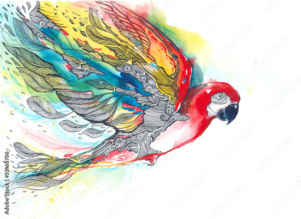 Obraz premium parrot