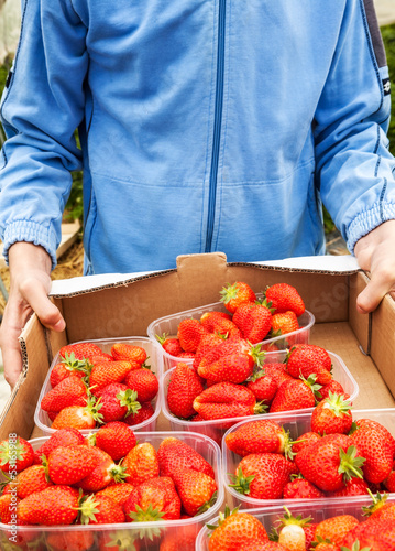 Young man holding a box with fresh ripe strawberries