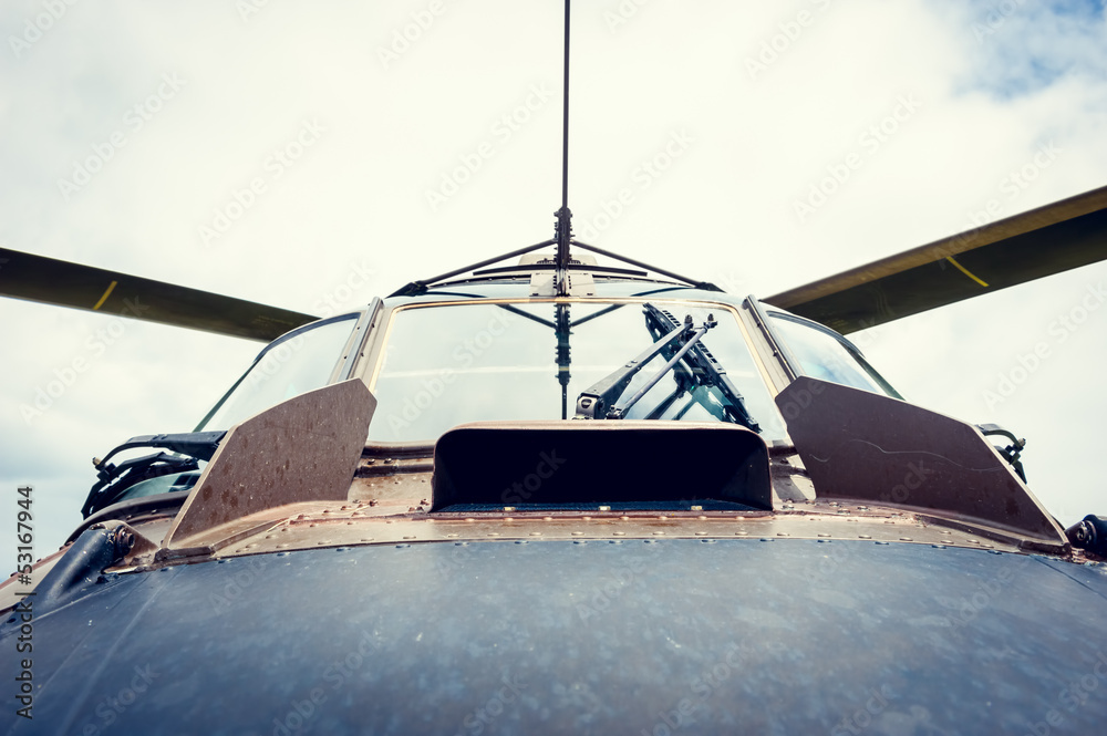 Windshield and blades of helicopter