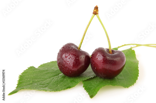 Two cherries with dew drops on leaves. Isolated on white