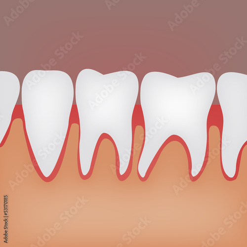 Teeth