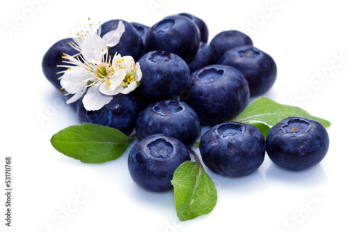 blue berry and white flower