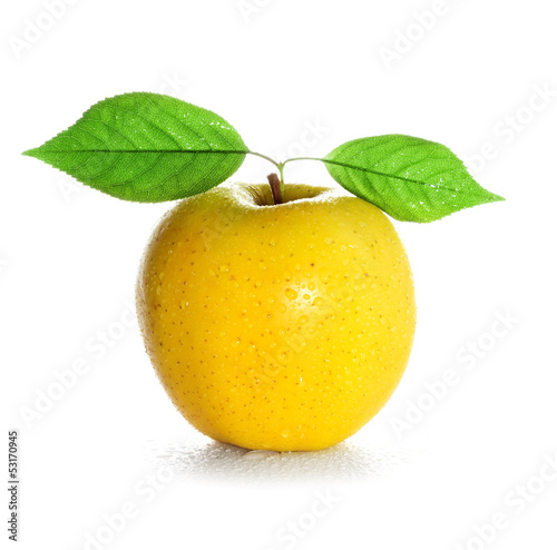 fresh and wet yellow apple with green leaf