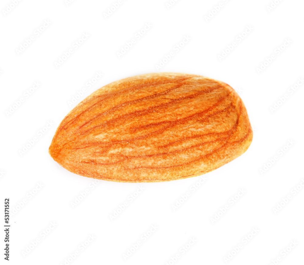 one almond isolated on a white background. one almond isolated on a white background.