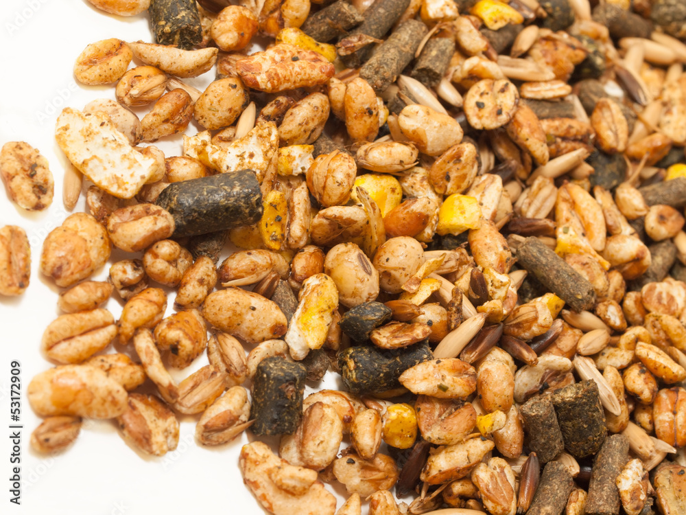 horse muesli background.  sport line high quality. close up