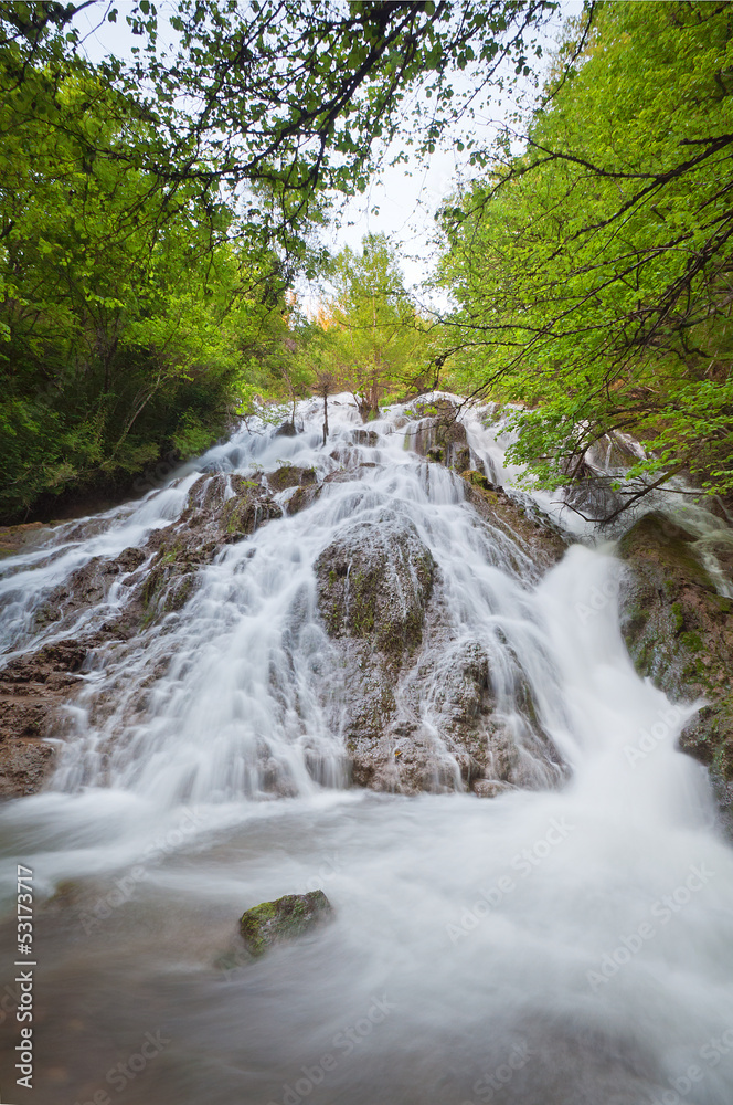 waterfall surrounded by trees with green leaves waterfall surrounded by trees with green leaves