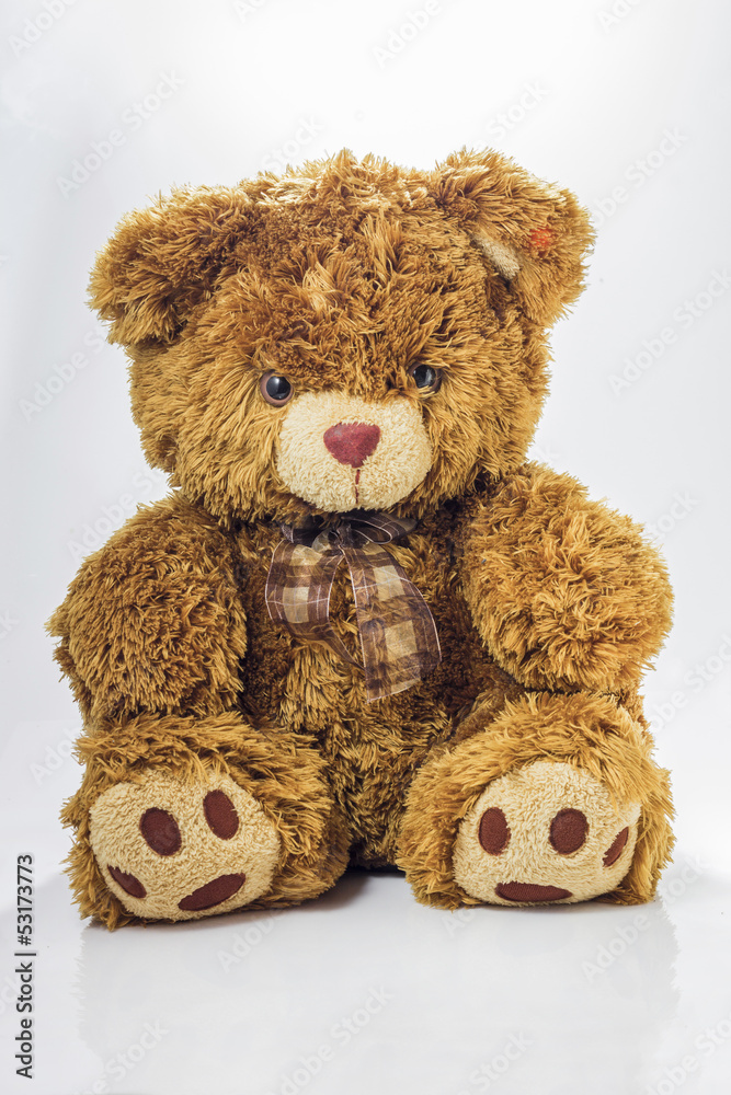 Obraz premium Teddy bear