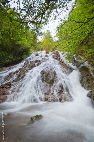 waterfall surrounded by trees with green leaves