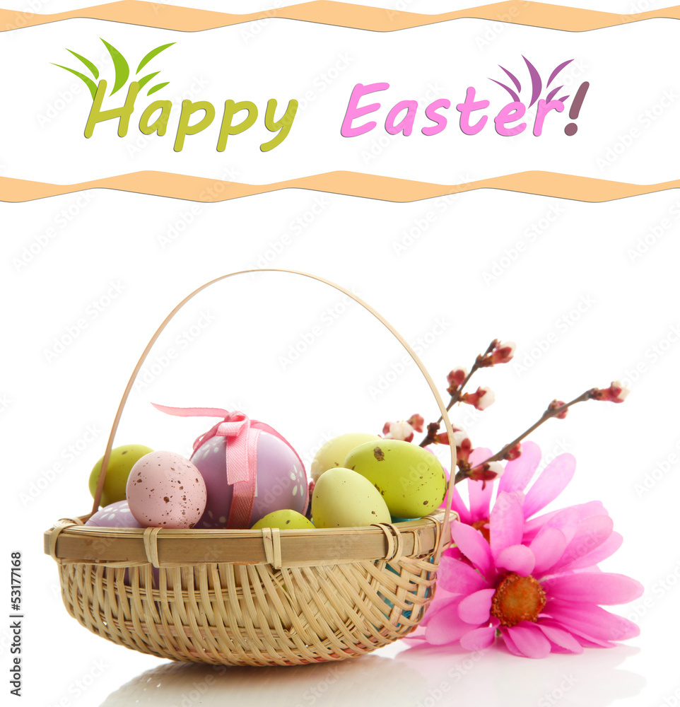 Beautiful Easter eggs and apricot blossom in basket, isolated