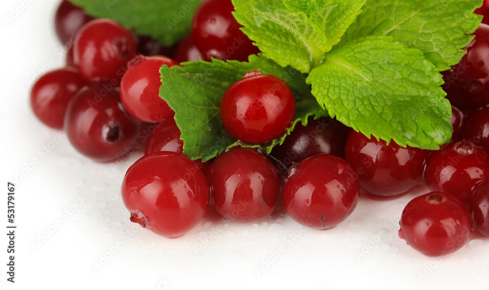Ripe red cranberries, isolated on white. Ripe red cranberries, isolated on white.
