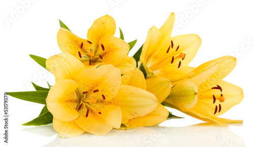 Fototapeta Naklejka Na Ścianę i Meble -  Beautiful orange lilies, isolated on white
