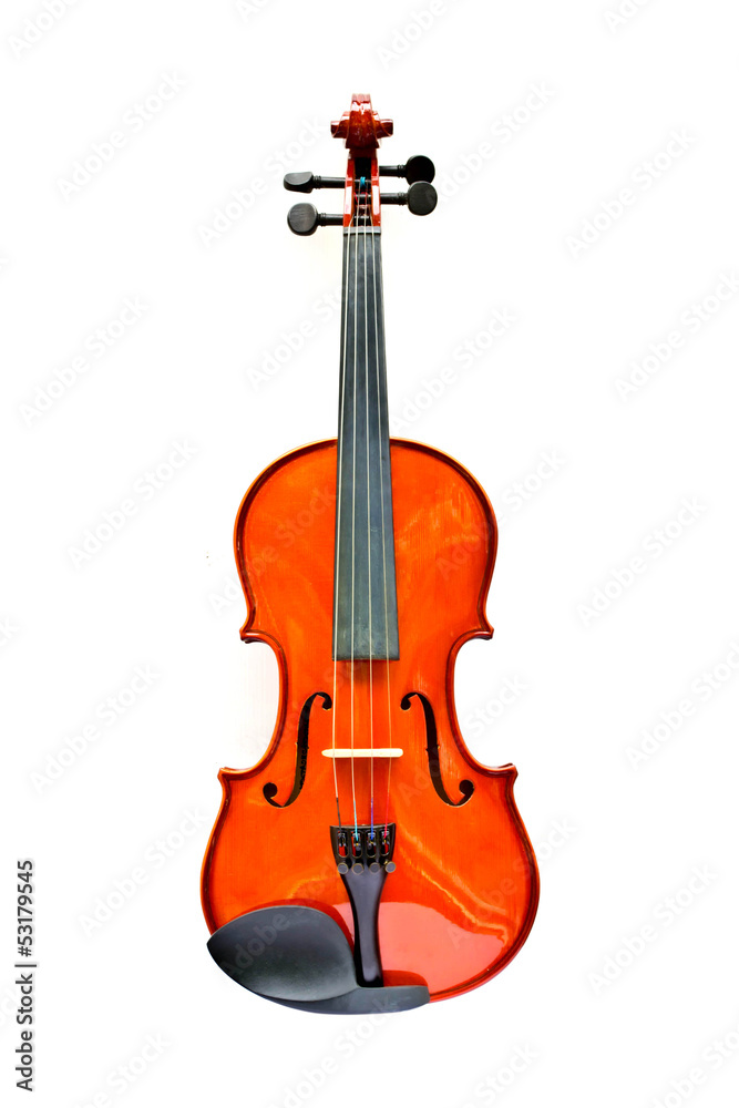 Fototapeta premium violin isolate on white background