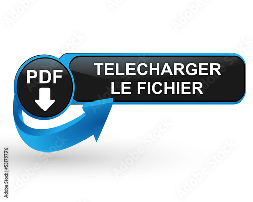 pdf télécharger le fichier sur bouton web design bleu