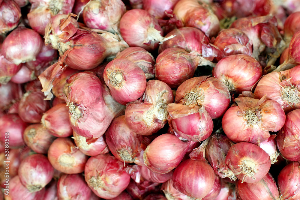 Pile of shallot Pile of shallot