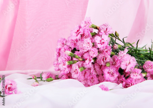 Many small pink cloves on light fabric background