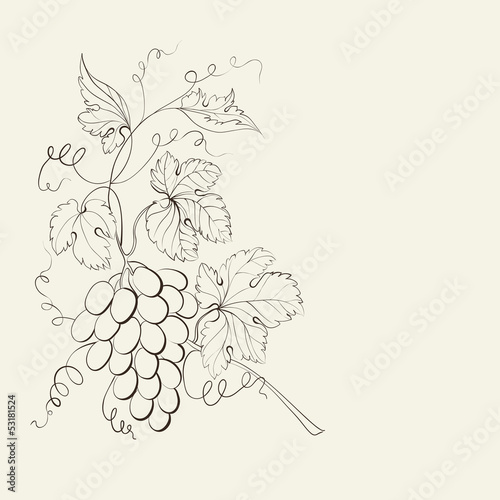 Engraving of grapes branch.