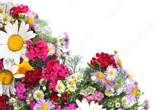Fototapeta Naklejka Na Ścianę i Meble -  Beautiful bright flowers on white background
