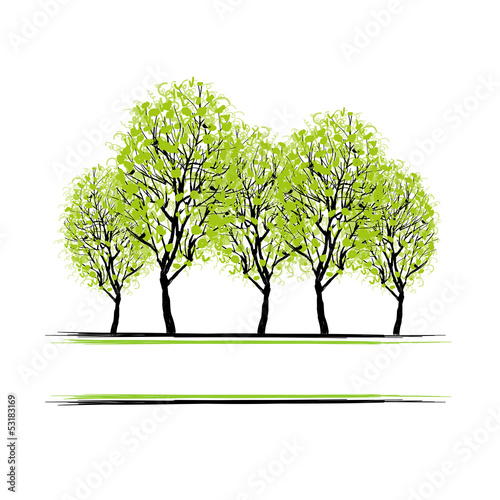 Green grove with trees for your design