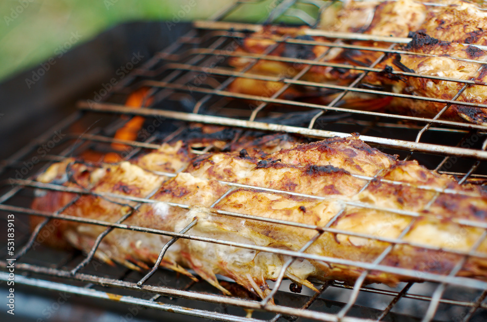  grilling sea fishes on campfire grate