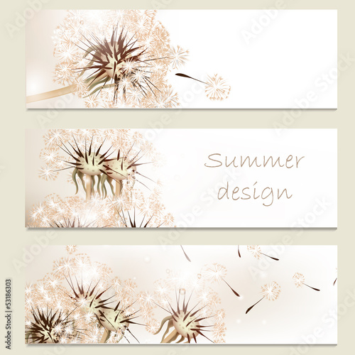 Abstract business vector cards set with dandelions  for design