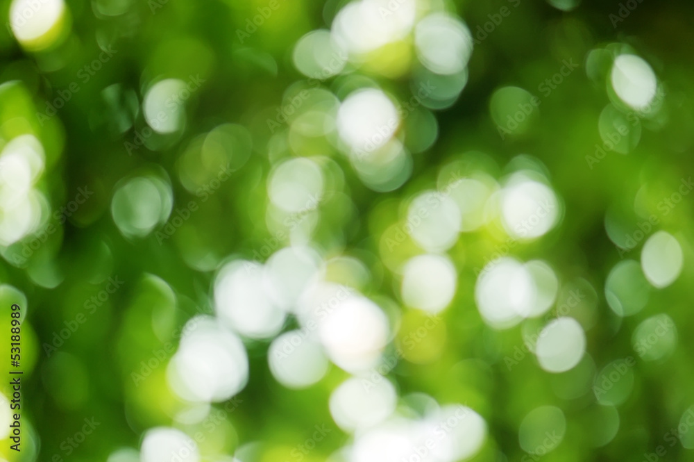 Blur leaves Blur leaves
