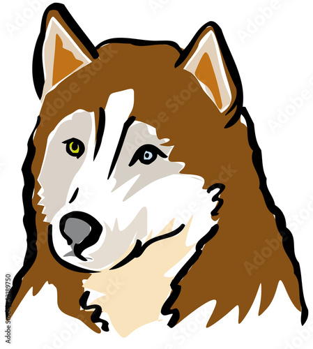 Husky