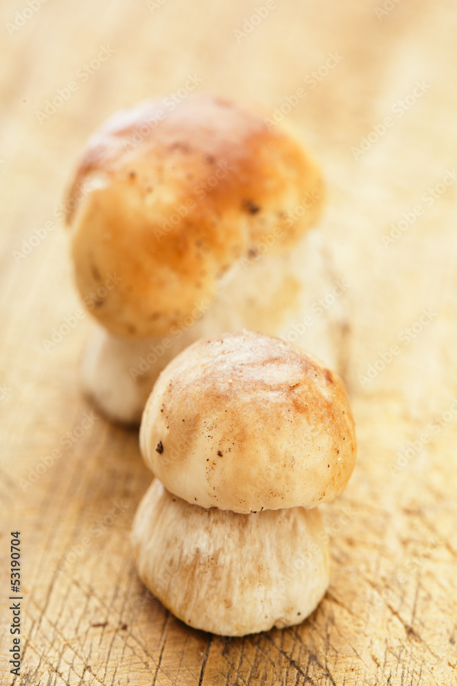 cep mushrooms on kitchen wooden board, for cooking