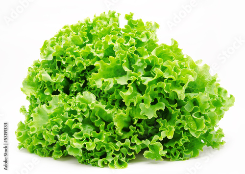 Fresh green lettuce isolated