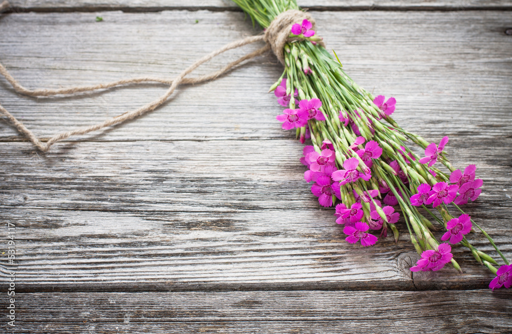 pink clove on wooden background pink clove on wooden background