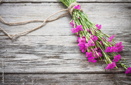 pink clove on wooden background