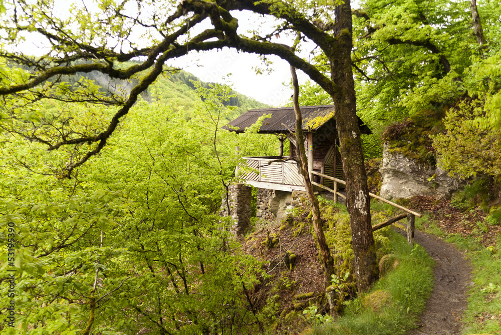 On the Hiking Trail Eifelsteig