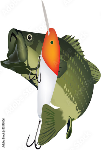 pesca sportiva