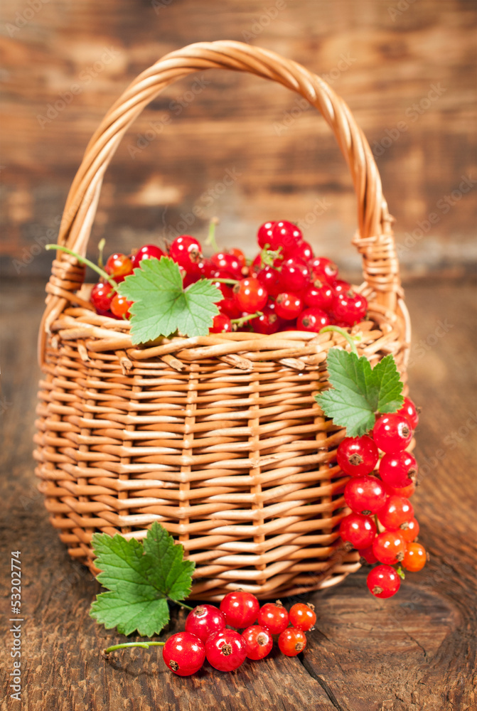 ripe red currants in a wicker basket ripe red currants in a wicker basket