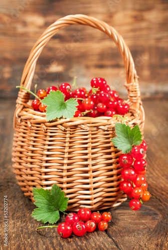 ripe red currants in a wicker basket