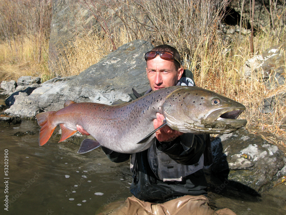 Obraz premium Fishing