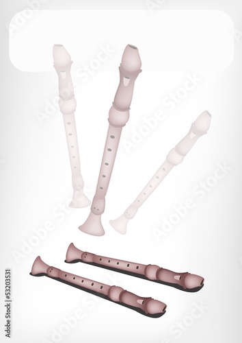 A Musical Recorder with A White Banner