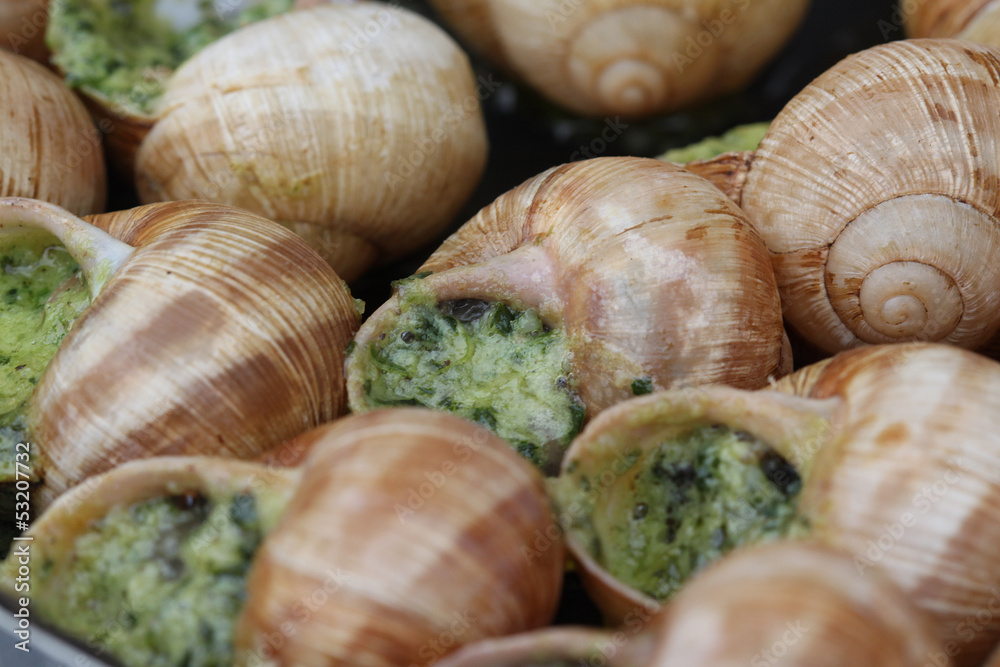 escargots escargots