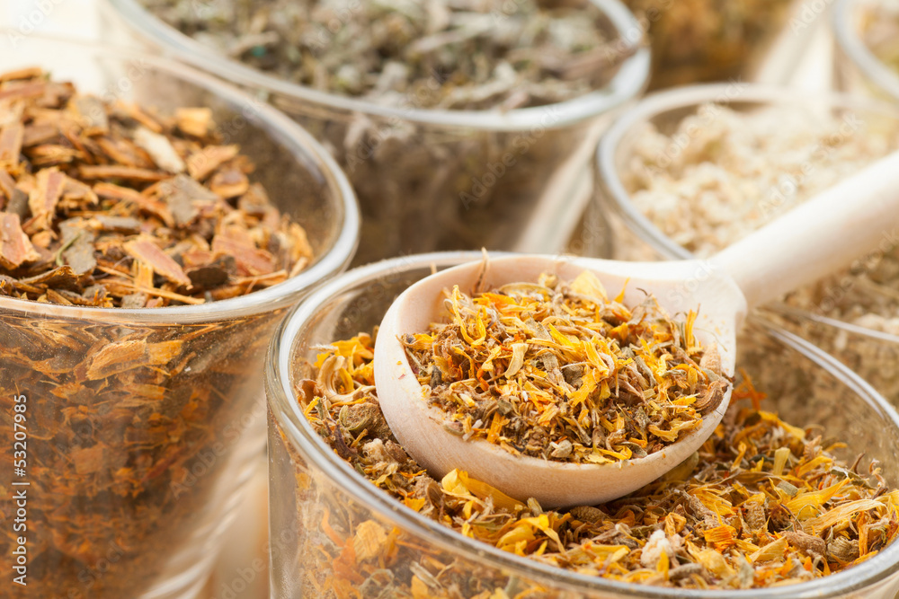 healing herbs in glass cups and wooden spoon, herbal medicine healing herbs in glass cups and wooden spoon, herbal medicine