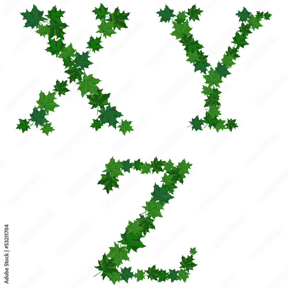 Summer maples leaves letter set Summer maples leaves letter set