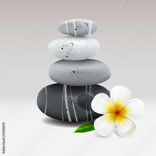 Spa stone with frangipani flower, vector Eps10 illustration.