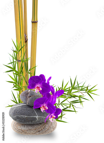 Fototapeta Naklejka Na Ścianę i Meble -  composition asiatique, orchidée, bambou et galets