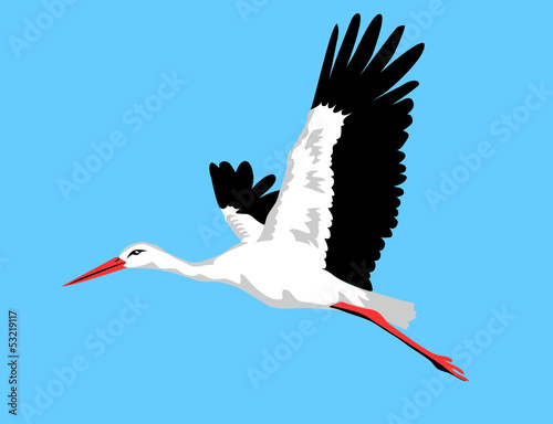 flying white stork