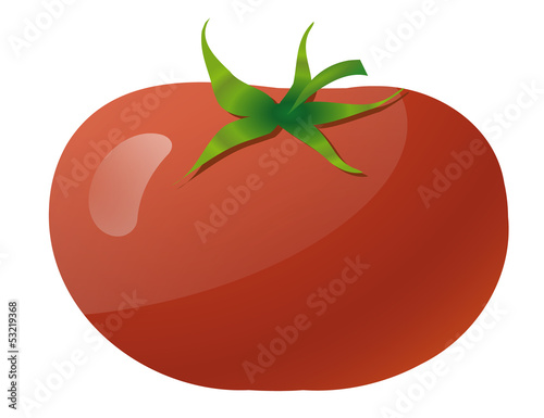 Tomato